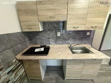 Pronájem bytu 1+1 30 m² Lesní, Most