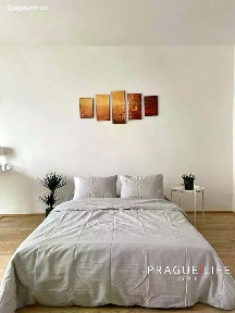Pronájem bytu 1+kk 4 m² Olšanská, Praha - Žižkov
