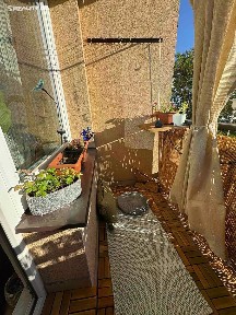 Ostrava, Ostrava-město, Dubina, Václava Jiřikovského