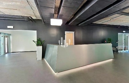 Pronájem kanceláře 280 m² Thámova, Praha - Karlín