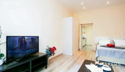 Pronájem bytu 1+1 40 m² Máchova, Praha - Vinohrady