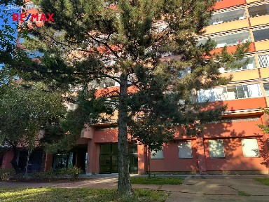 Prodej bytu 1+1 40 m² Bínova, Praha - Střížkov