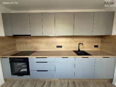 Most, Maxe Švabinského