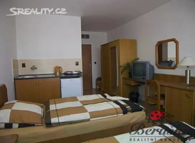 Pronájem bytu 1+kk 23 m² Plzeňská, Ostrava - Zábřeh