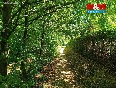 Rychnov nad Kněžnou