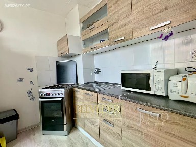 Prodej bytu 2+1 48 m² Aléská, Bílina - Pražské Předměstí
