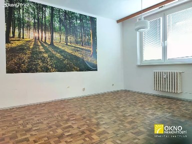 Pronájem bytu 1+1 34 m² Ivanovice na Hané