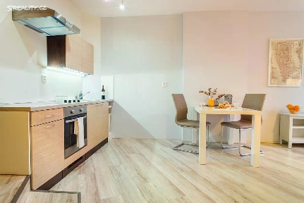 Pronájem bytu 1+kk 40 m² Veveří, Brno - Veveří