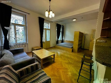 Pronájem bytu 1+kk 42 m² Praha - Vinohrady