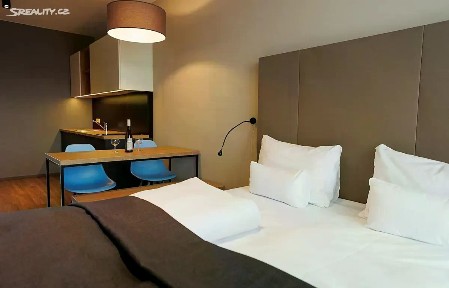 Pronájem bytu 1+kk 32 m² Pallova, Plzeň - Východní Předměstí