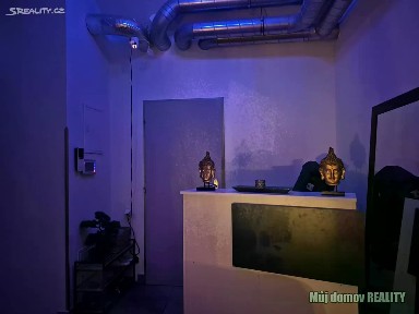 Pronájem obchodního prostoru 100 m² Václavské náměstí, Praha - Nové Město