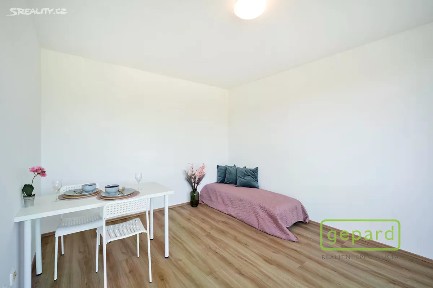 Pronájem bytu 1+kk 28 m² Hartigova, Praha - Žižkov
