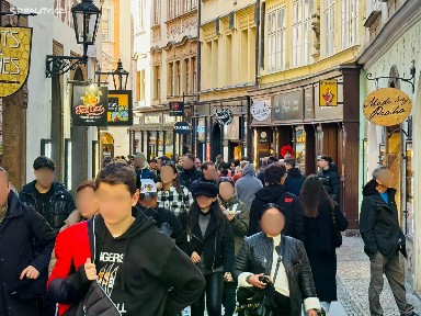 Pronájem ubytovacího zařízení 300 m² Praha - Staré Město