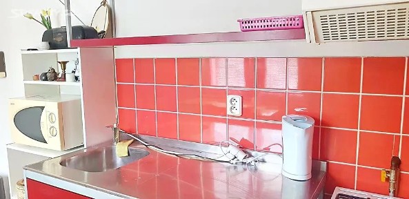 Pronájem bytu 1+1 38 m² Úvoz, Brno - Veveří