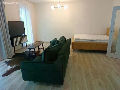 Pronájem bytu 1+kk 42 m² O. Nedbala, České Budějovice - České Budějovice 2