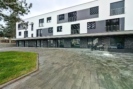 Pronájem komerční nemovitosti 101 m² Ringhofferova, Kamenice - Olešovice