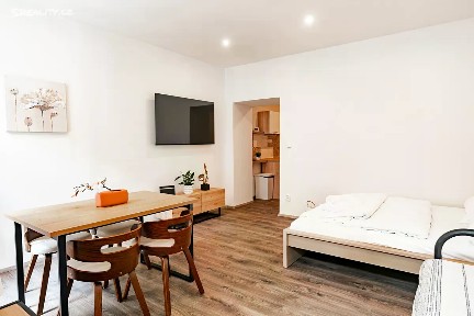 Prodej bytu 1+1 41 m² Kotlářská, Brno - Veveří