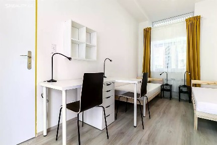 Pronájem bytu 1+kk 19 m² Václavská, Brno - Staré Brno