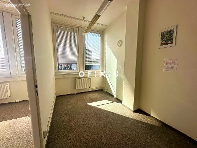 Pronájem kanceláře 35 m² Veveří, Brno - Žabovřesky