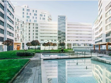 Pronájem obchodního prostoru 520 m² Nové sady, Brno - Staré Brno