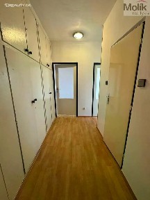 Most, Zdeňka Fibicha