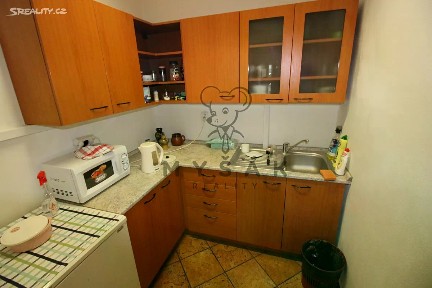 Pronájem bytu pokoje 20 m² Holečkova, České Budějovice - České Budějovice 3