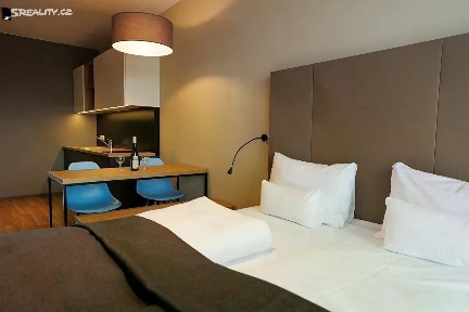 Pronájem bytu 1+kk 32 m² Pallova, Plzeň - Východní Předměstí