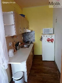 Prodej bytu 1+kk 32 m² Podzimní, Chlumec