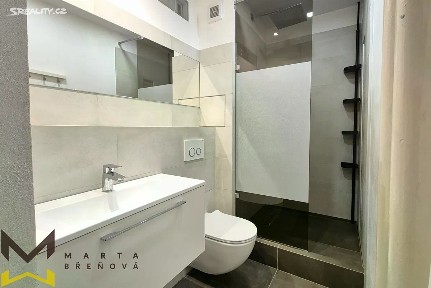 Pronájem bytu 2+1 55 m² náměstí SNP, Brno - Černá Pole