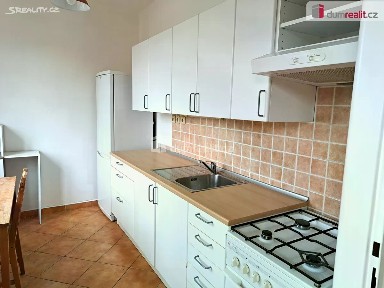 Ústí nad Labem, Ústí nad Labem-centrum, Růžový palouček