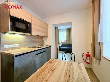 Prodej bytu 1+1 31 m² Loučná pod Klínovcem - Háj