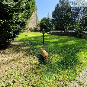 Pronájem bytu 2+kk 77 m² Lipová, Brno