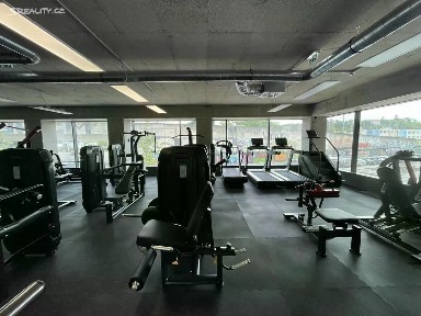 Prodej obchodního prostoru 230 m² Obchodní, Čestlice