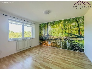 Pronájem bytu 3+1 60 m² Klatovská, Janovice nad Úhlavou