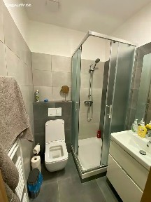 Pronájem bytu 1+kk 20 m² Žerotínova, Břeclav
