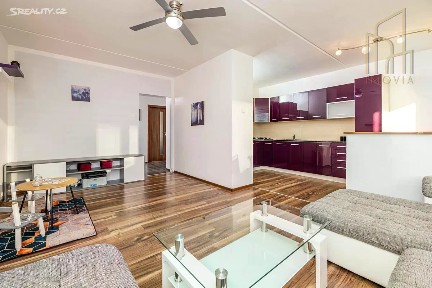 Most, Josefa Ševčíka, 46