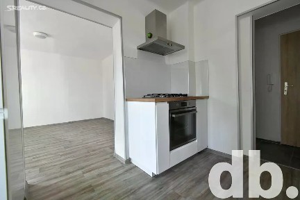 Pronájem bytu 2+1 54 m² Slovanská, Karlovy Vary - Tašovice