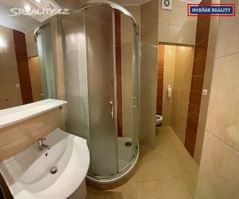 Pronájem bytu 1+1 38 m² Fučíkova, Bučovice