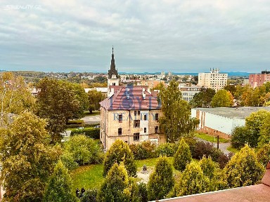 Prodej bytu 1+kk 19 m² Majakovského, Karlovy Vary - Rybáře