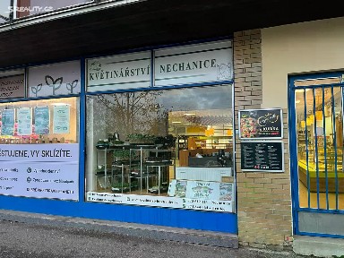 Pronájem obchodního prostoru 12 m² Štefánikova, Hradec Králové - Moravské Předměstí