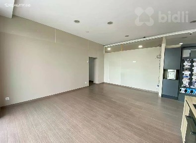 Pronájem obchodního prostoru 220 m² Holohlavy