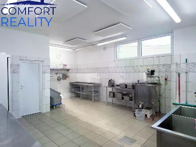 Prodej výrobní haly, prostoru 220 m² Suchdol nad Odrou - Kletné