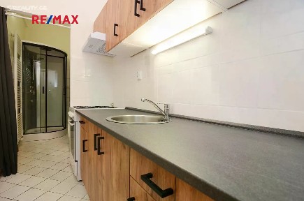 Pronájem bytu 2+1 56 m² V mezihoří, Praha - Libeň