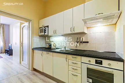 Pronájem bytu 1+1 40 m² Máchova, Praha - Vinohrady