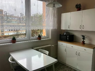 Pronájem bytu 1+1 35 m² Víta Nejedlého, Vyškov - Dědice