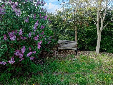 Prodej rodinného domu 240 m², pozemek 1591 m² Měchenice