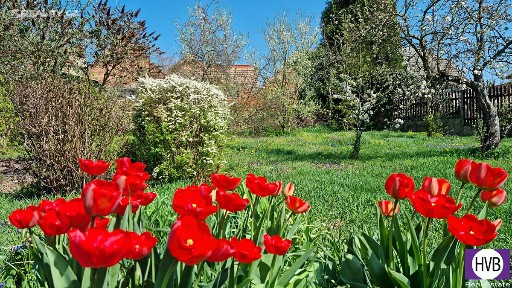 Prodej rodinného domu 187 m², pozemek 1149 m² Riegrova, Zlonice