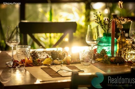 Pronájem restaurace 320 m² Protivín - Chvaletice