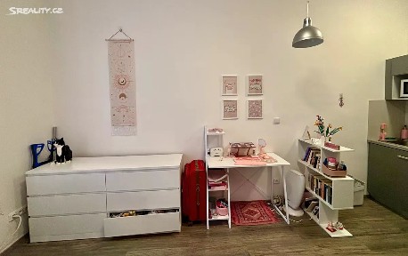 Pronájem bytu 1+kk 19 m² Erbenova, Praha