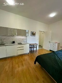 Pronájem bytu 1+kk 30 m² Rubešova, Praha - Vinohrady
